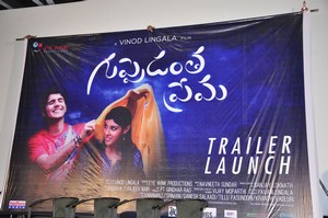 Guppedantha Prema Movie Trailer Launch